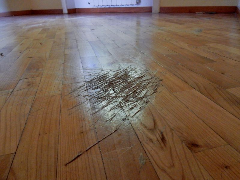 Hardwood Refinishing in Olathe, KS